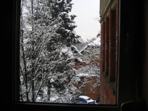widok z okna kliniki