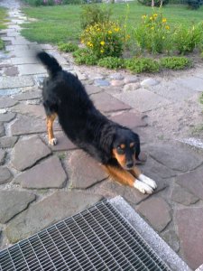 zdjecie0002